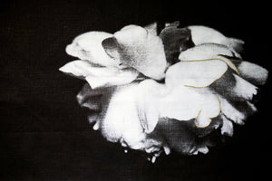 Grace - Divine favour