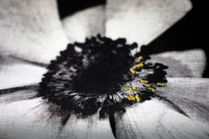 Dignity - Inherent nobility and worth