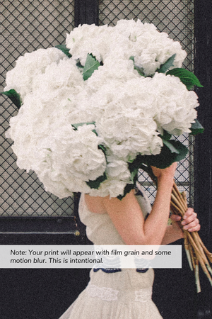 Going Places - Hydrangea Paris 10th