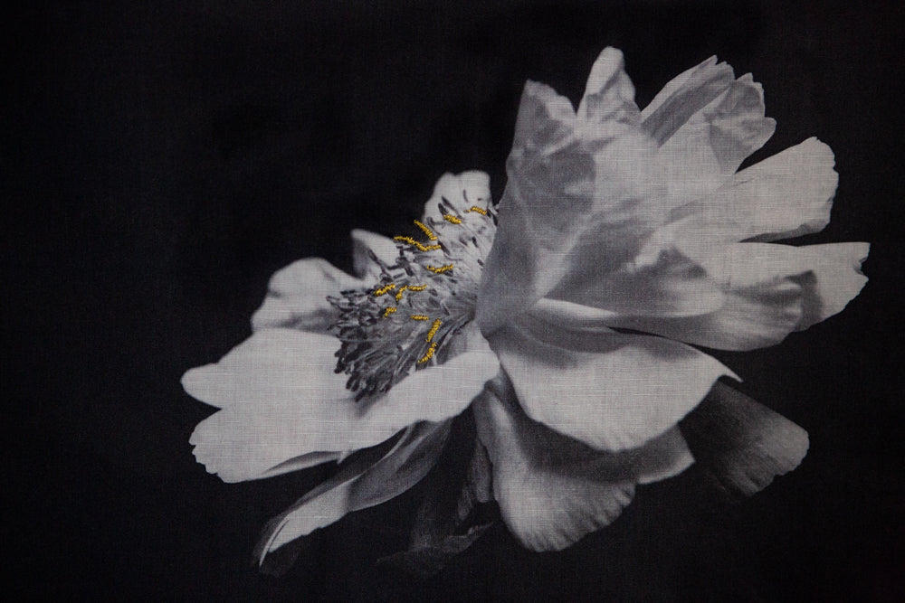 How Photography Helped Me With Grief