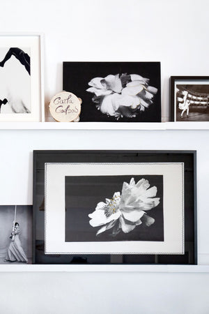 The Beauty of Living and Dying (Collection Bundle)