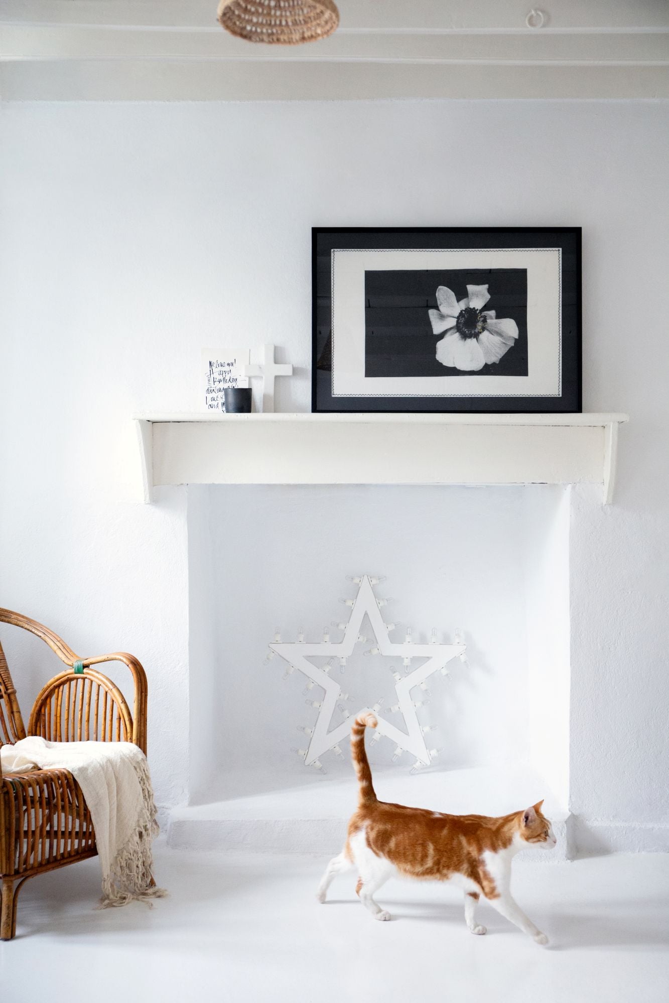 The Beauty of Living and Dying (Collection Bundle)