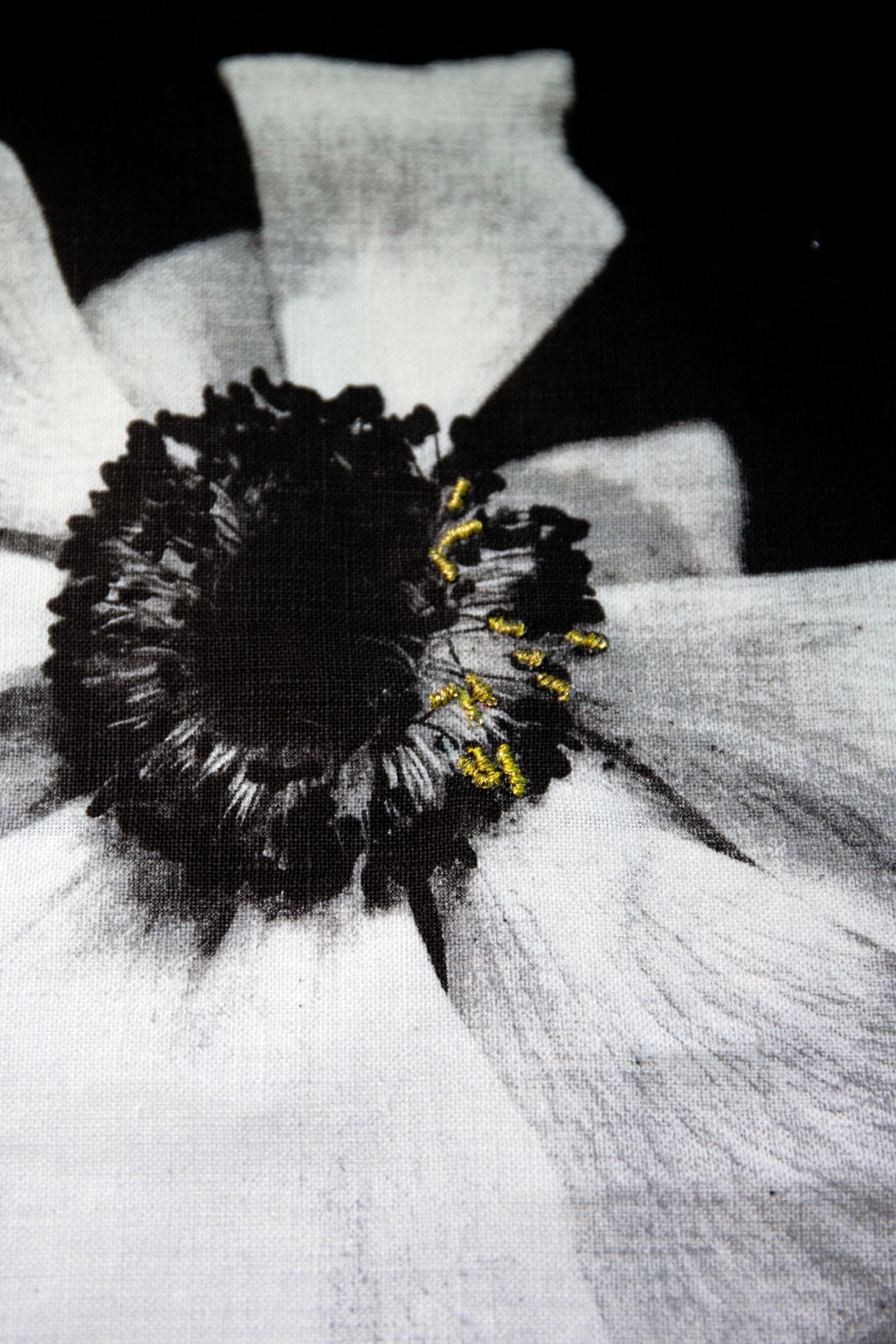 Dignity - Inherent nobility and worth