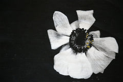 Dignity - Inherent nobility and worth