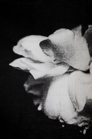 Grace - Divine favour