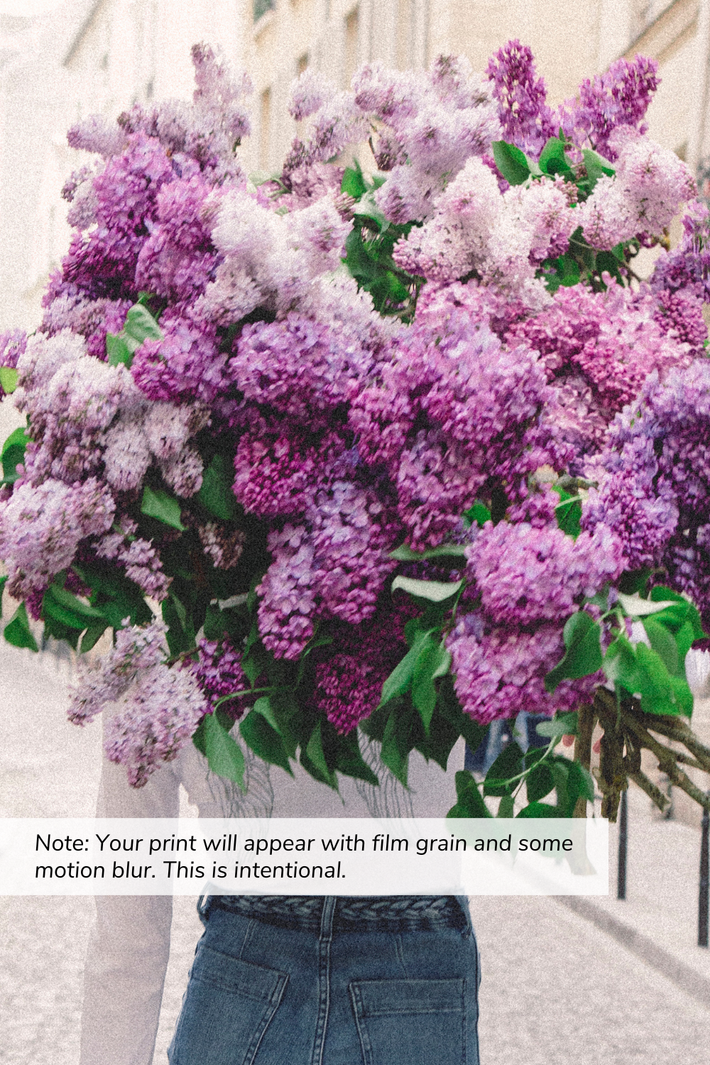 On My Way - Lilac Lust in the 6th