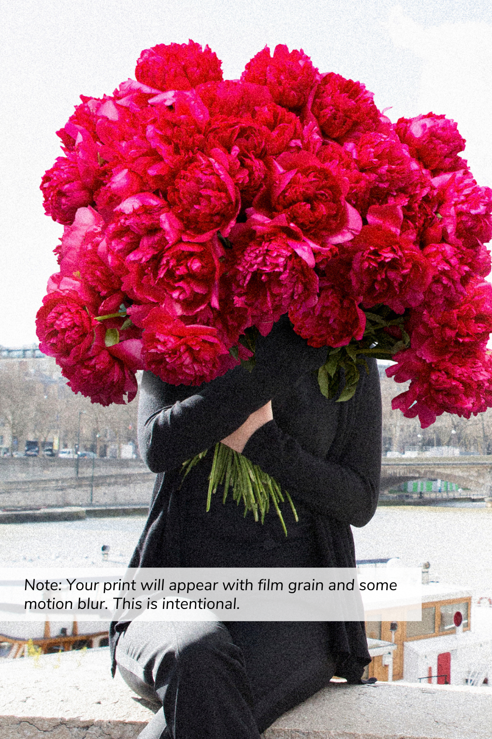 Bold Beauty - Peonies Paris 8th